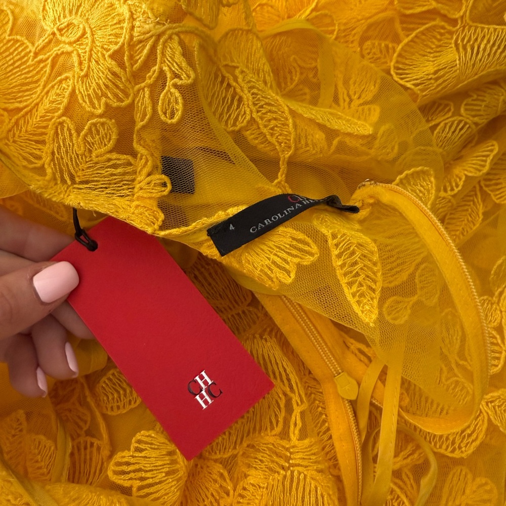 Carolina Herrera Runway Yellow Floral Eyelet Gown - Picture 5 of 5
